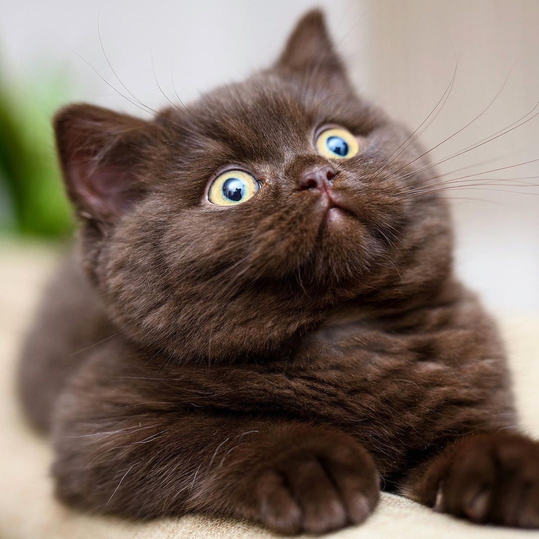 Слушаю, внимательно