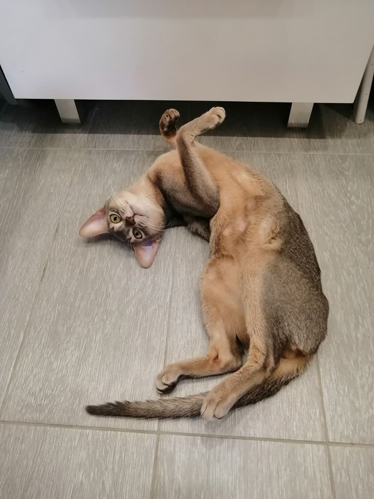 А я валяюсь на полу, потому что - делать нечего