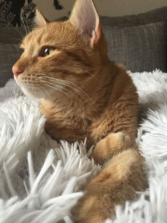 После вкусного обеда, хочется поразмышлять