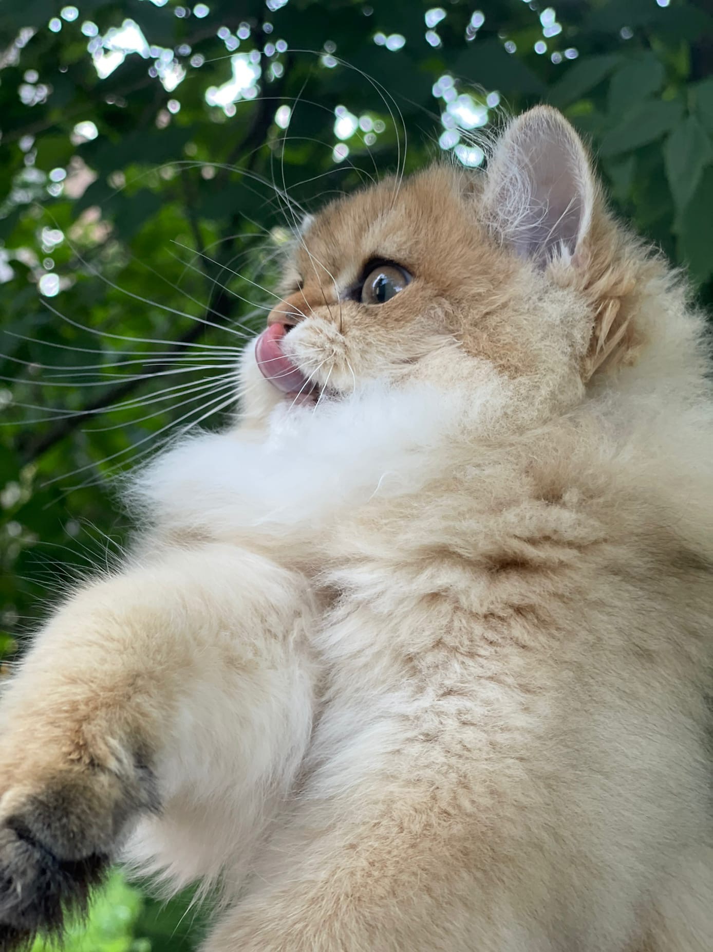 Так хочется, птичку вблизи рассмотреть