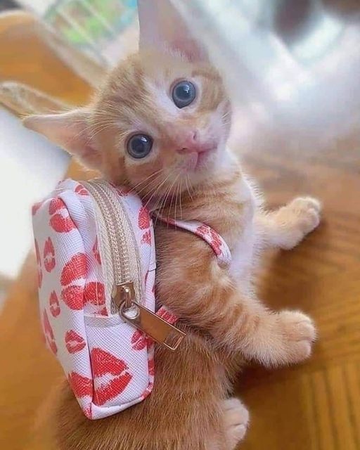 Не рановато ли мне, в школу идти