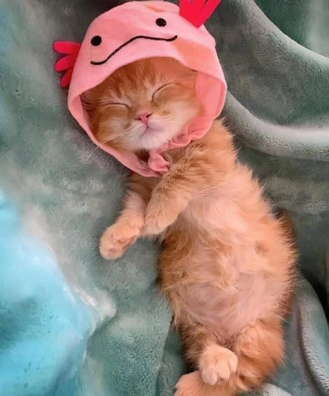 Ляличка спит