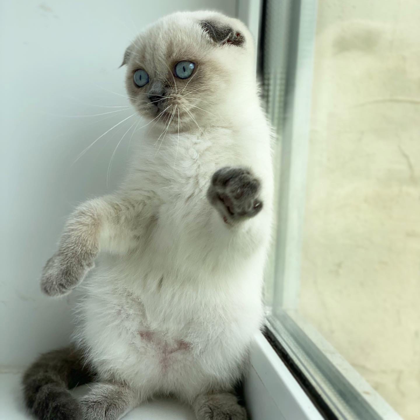 На улице такой кошмар, все гуляют где хотят