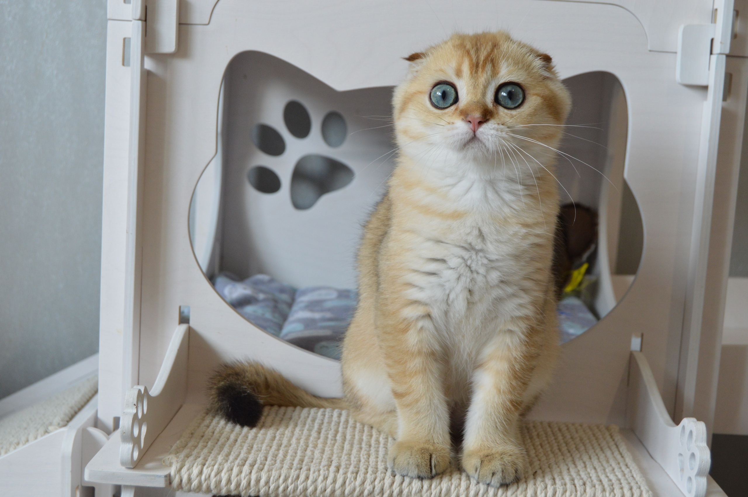 Вот, вроде всё есть, а чего - то не хватает