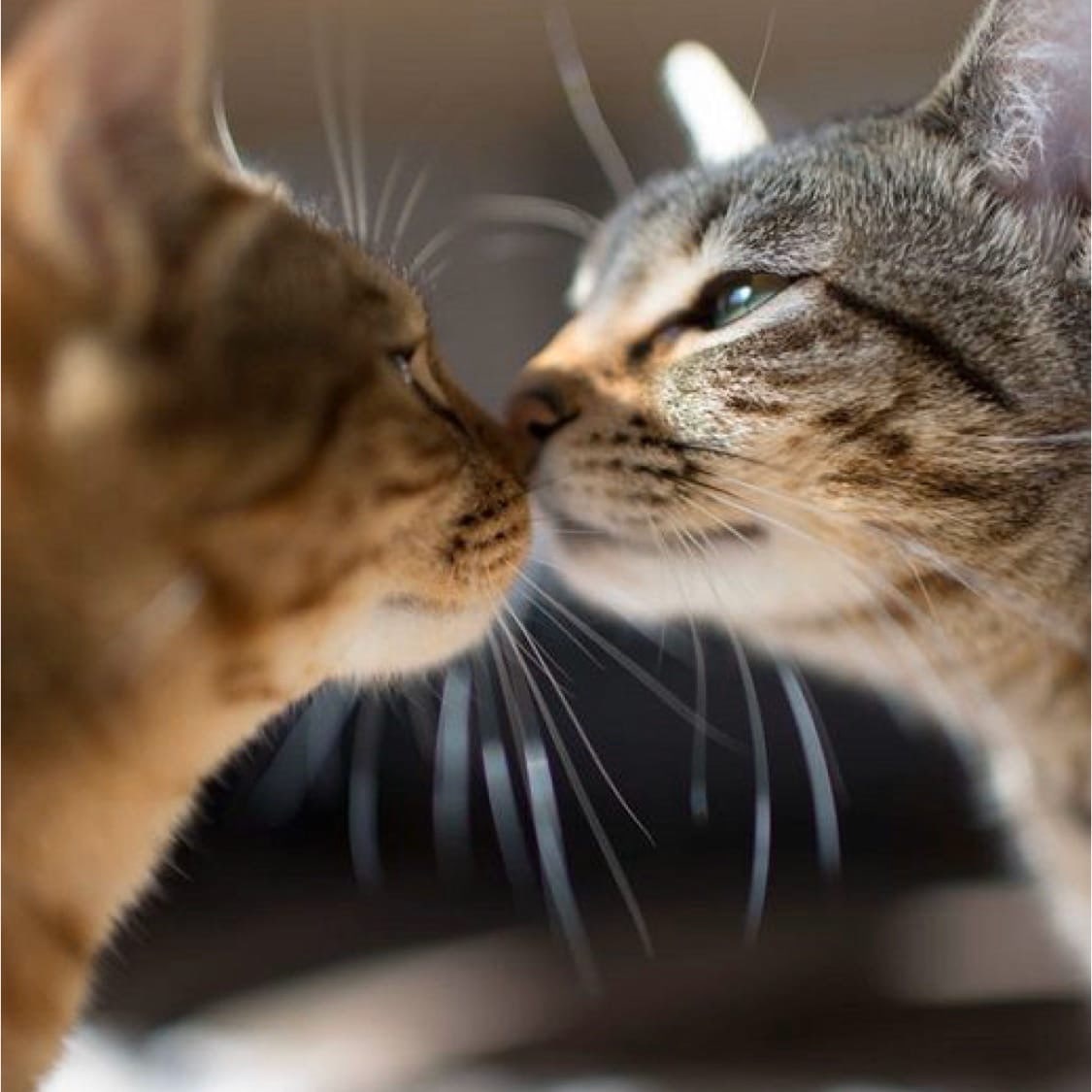 А, ты меня любишь