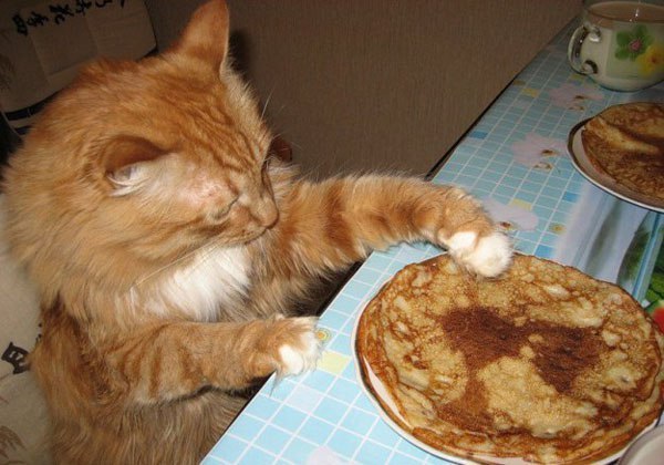 Если я возьму один блинчик, никто же не заметит