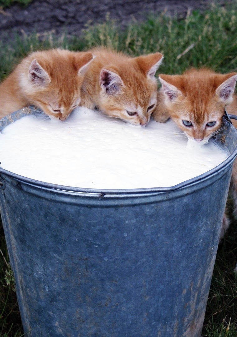 Завтрак с удовольствием