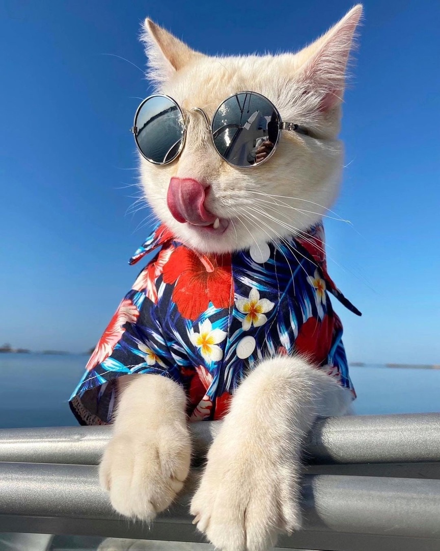 Какая красота - море, солнце