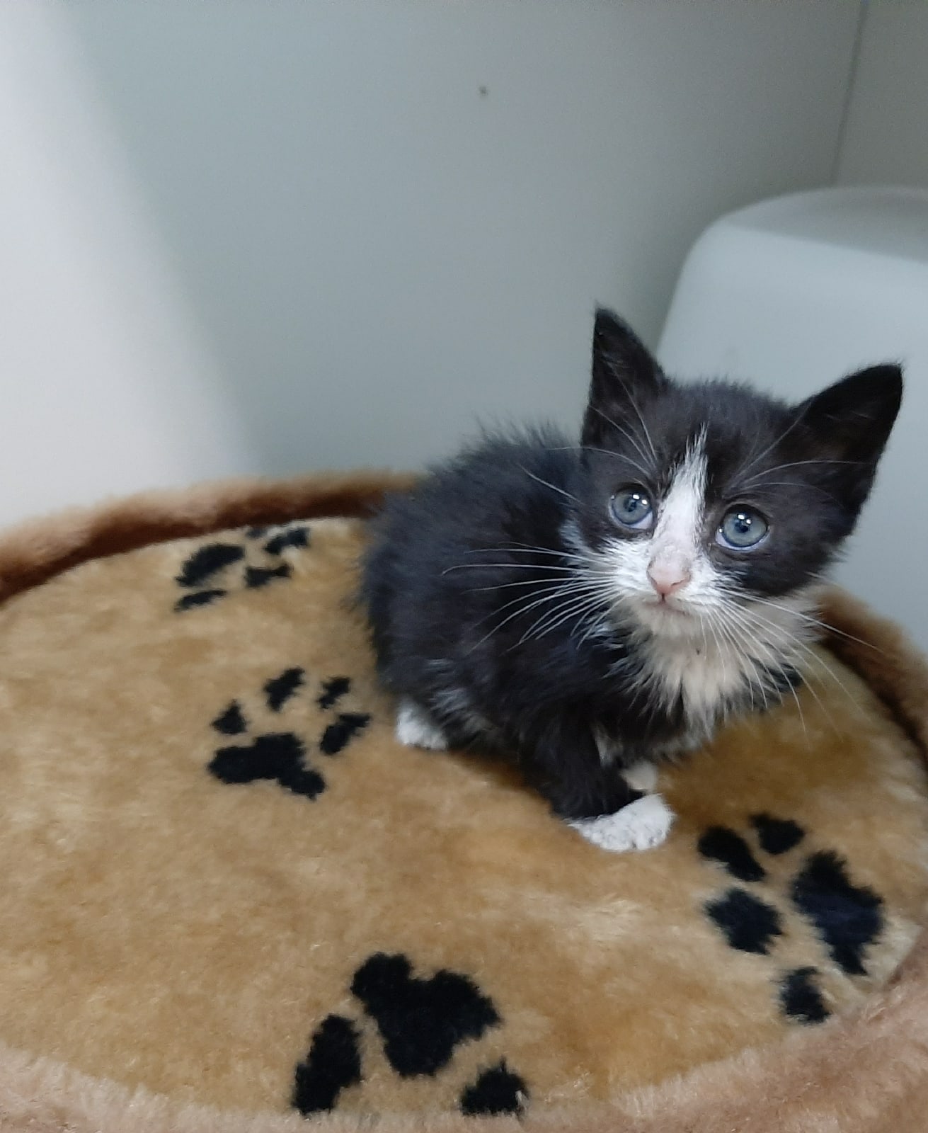 Не пугайте меня, я и так трясусь от страха