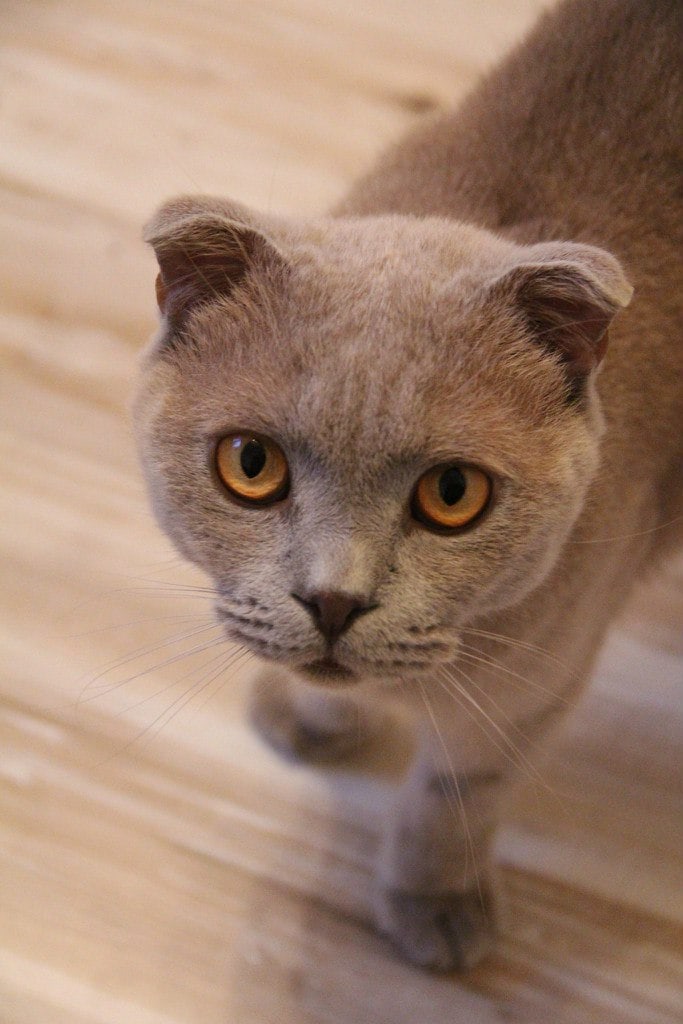 Я пришла, давайте обниматься