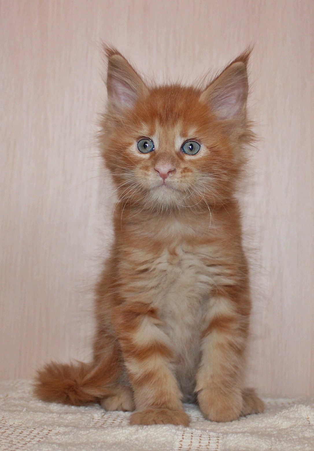 Есть вопрос - ответа нет, хулиганить или нет