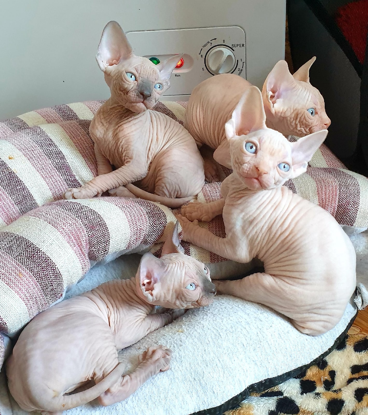 Зимой, мы живём возле обогревателя