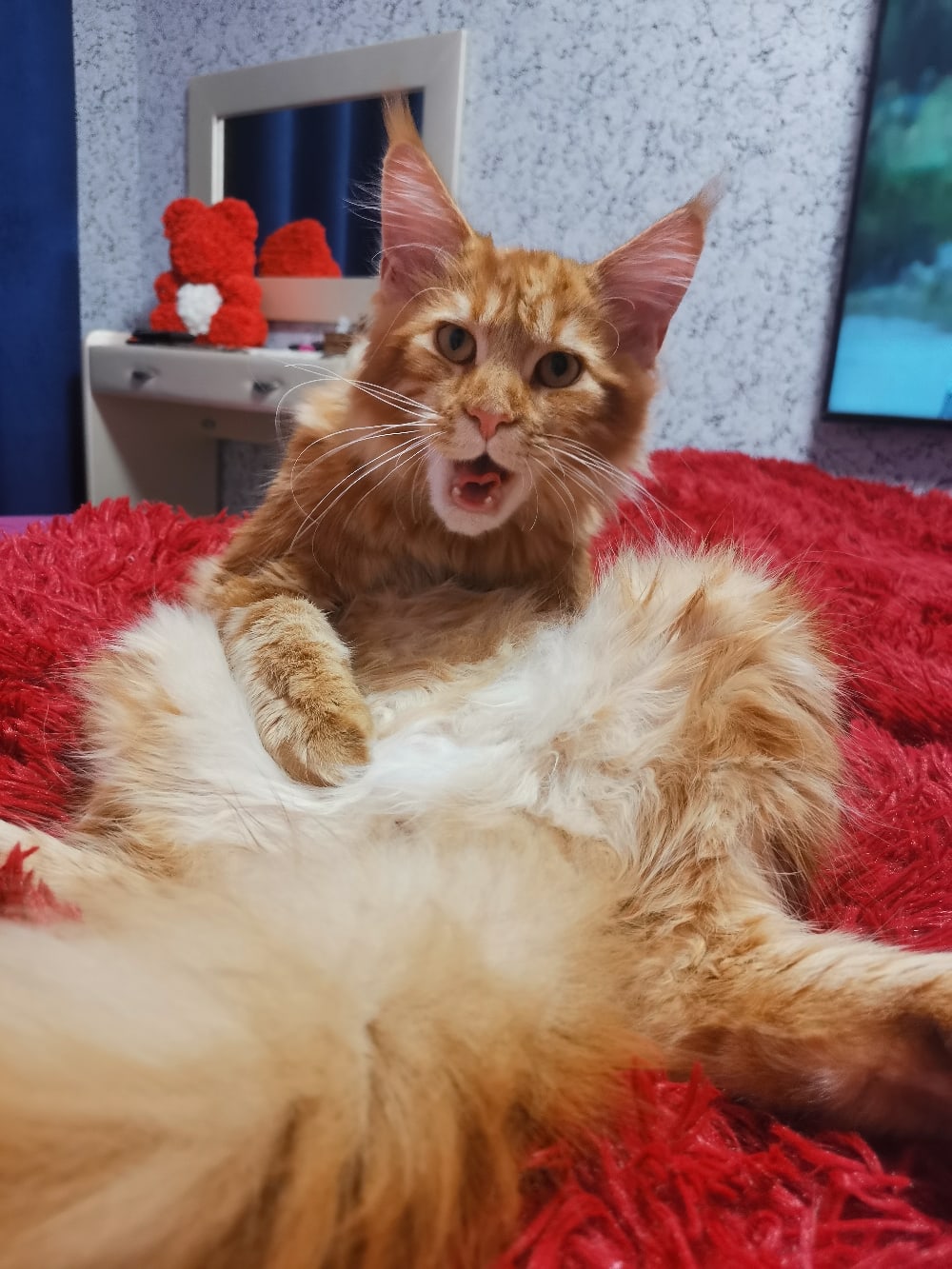 Утренние процедуры