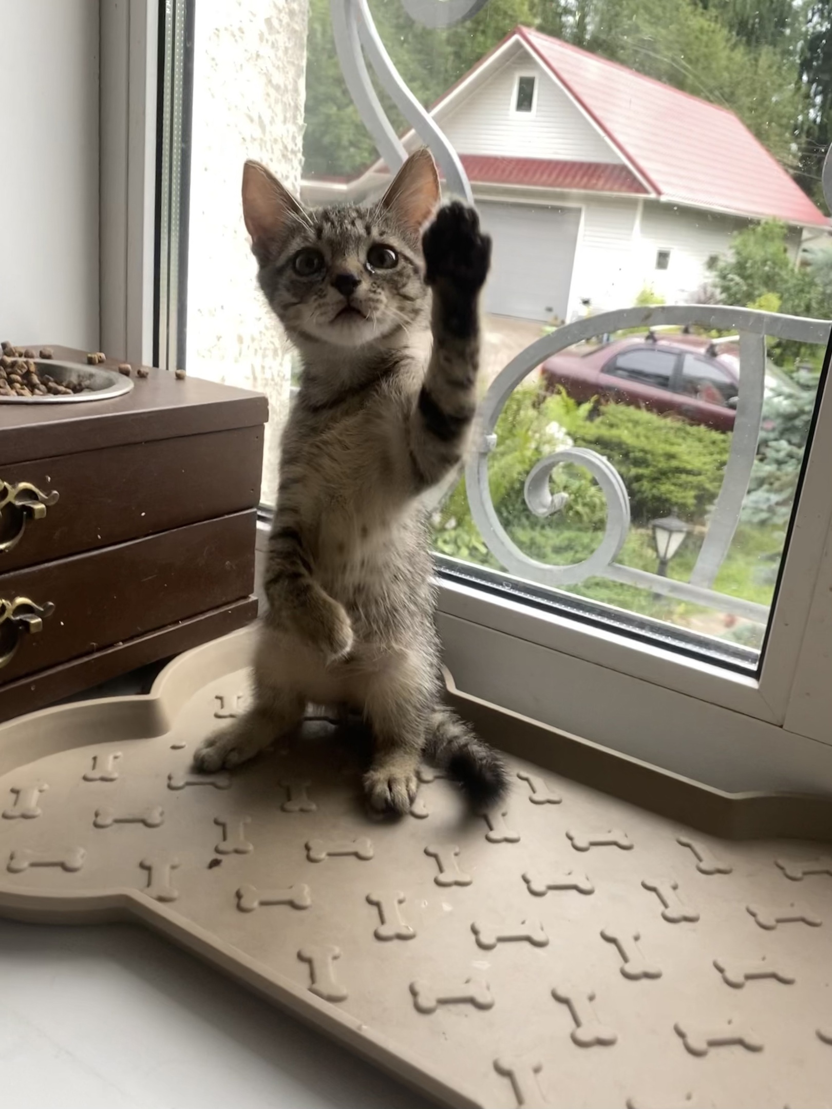 Я сухариков наелся, мясо давайте