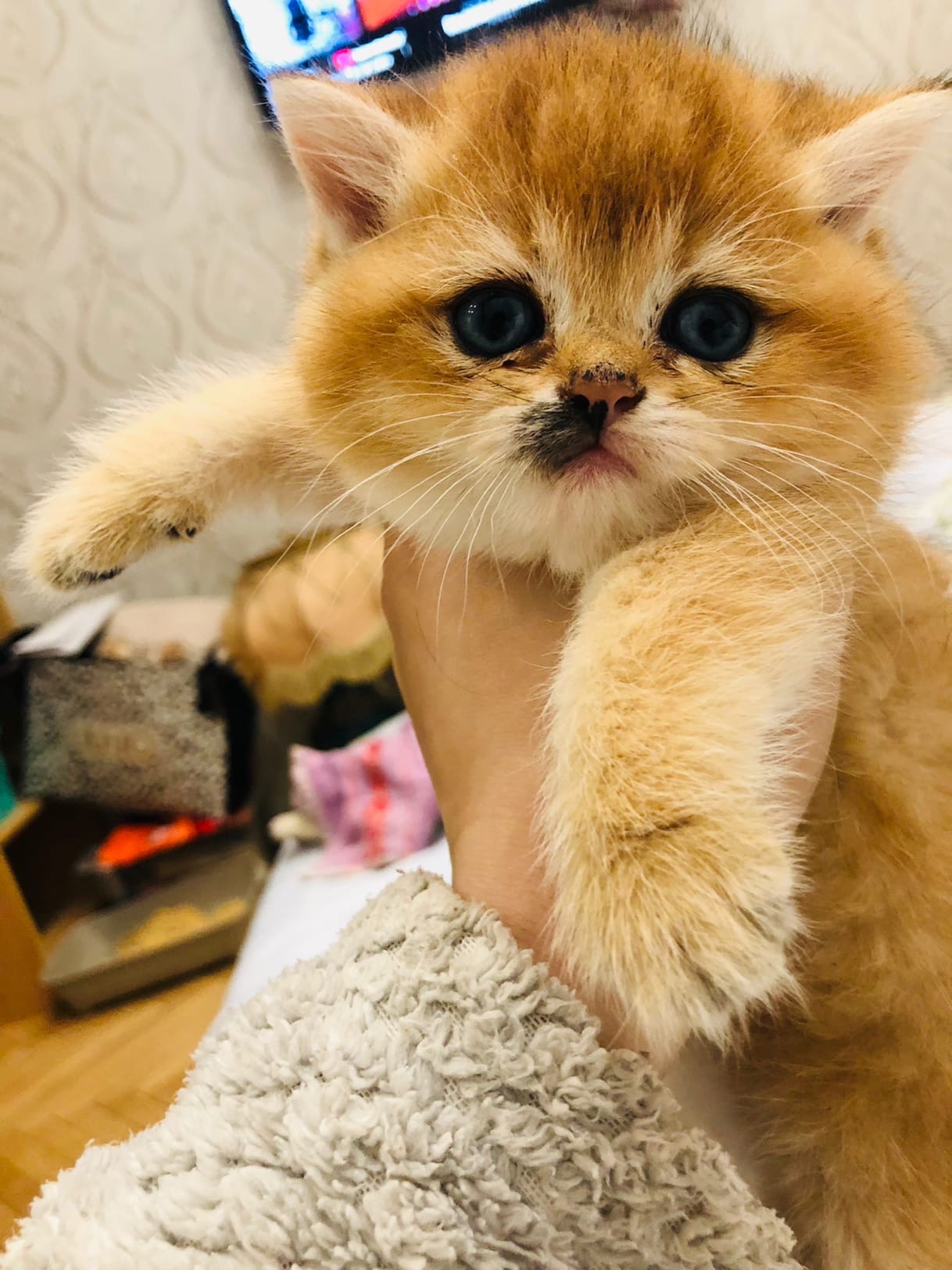 И вовсе, я не чумазик