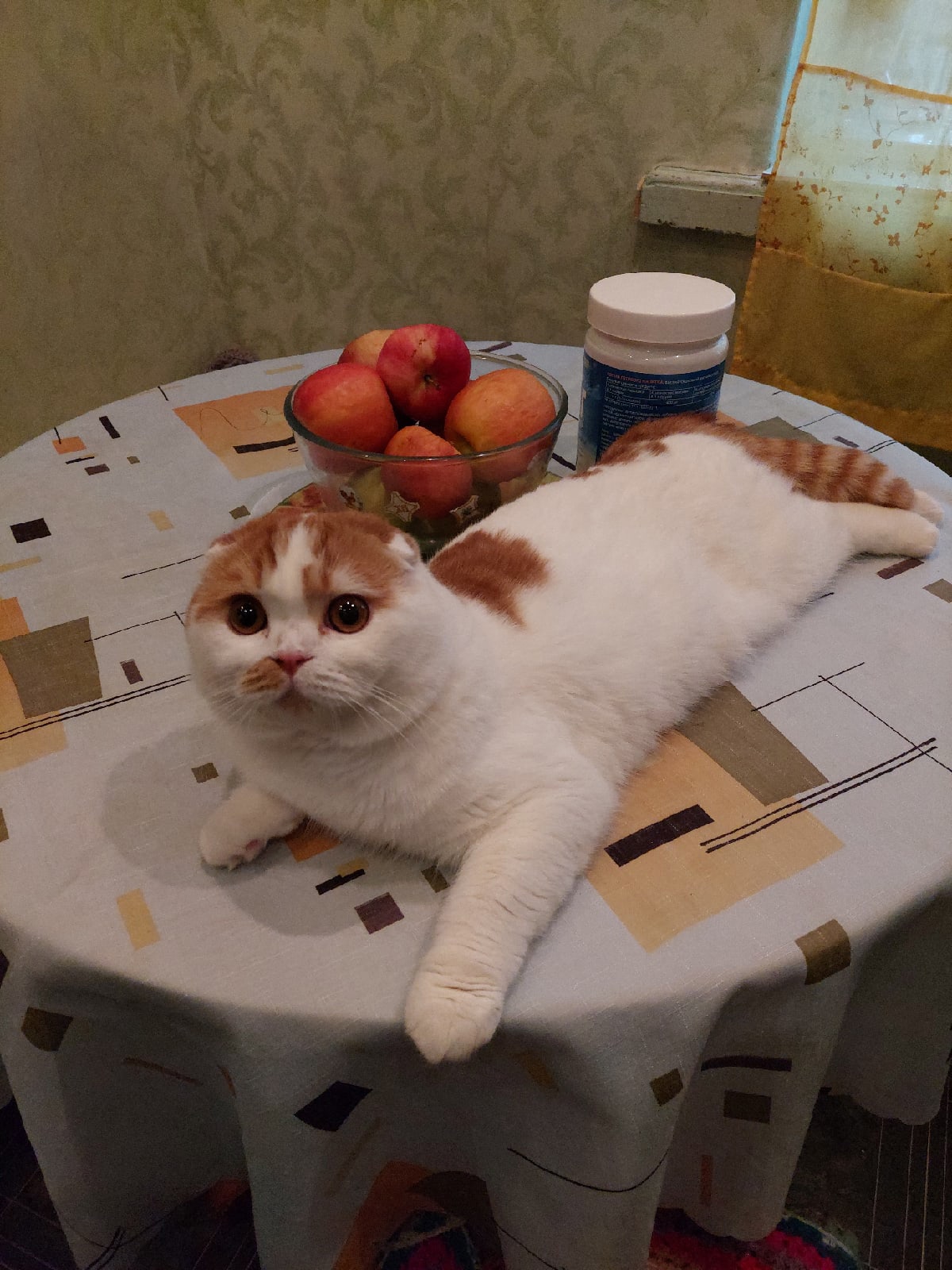 Я яблоки не буду, я не травоядный