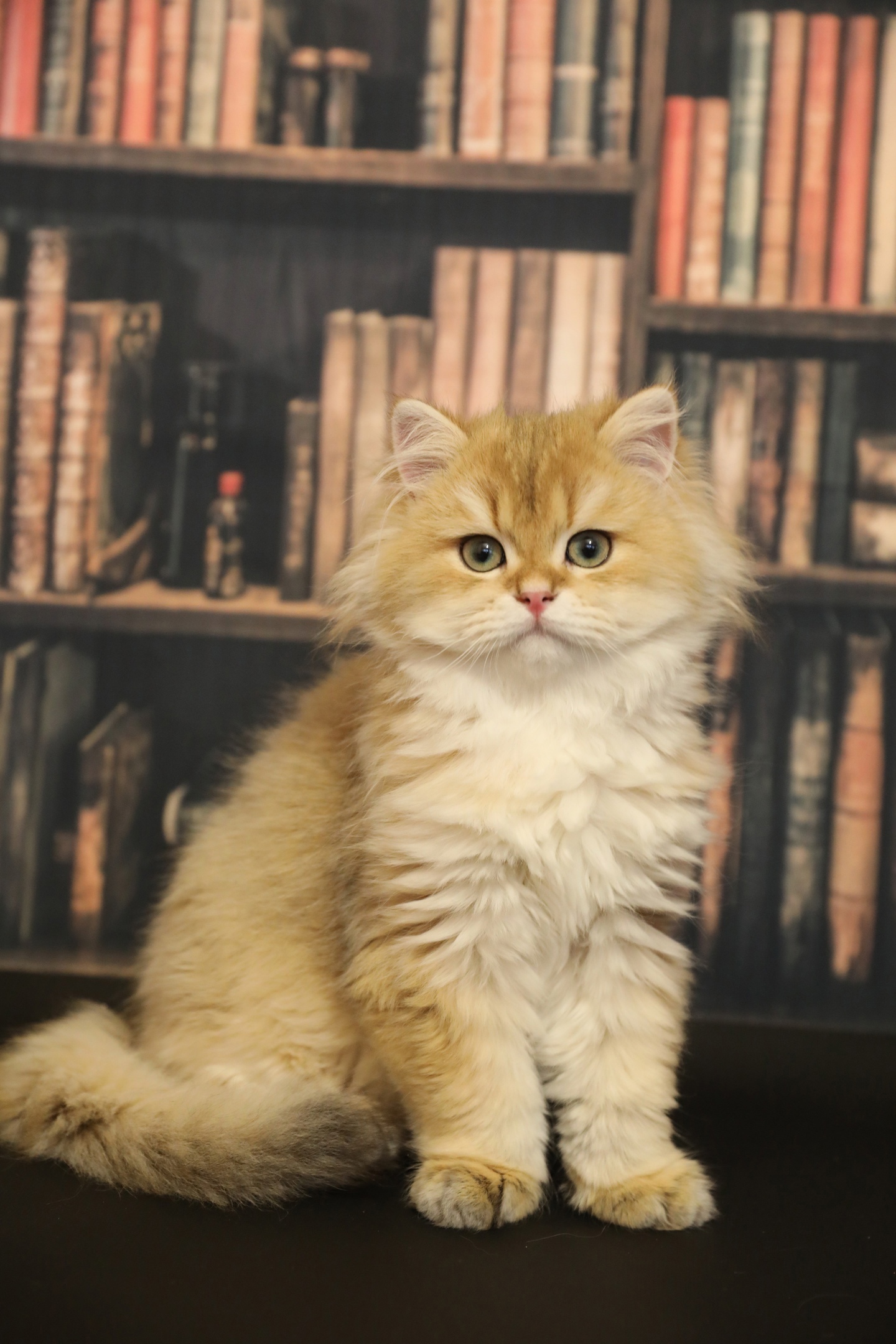 Ну что, почитаем