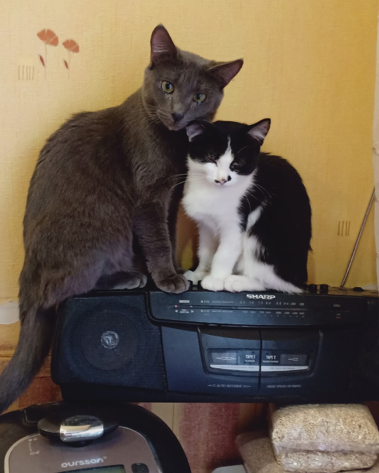 Уж, больно песня жалостливая