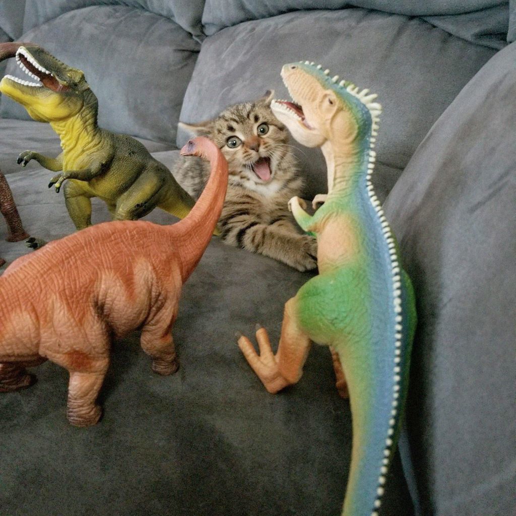 Мне таких друзей не надо, я их боюсь