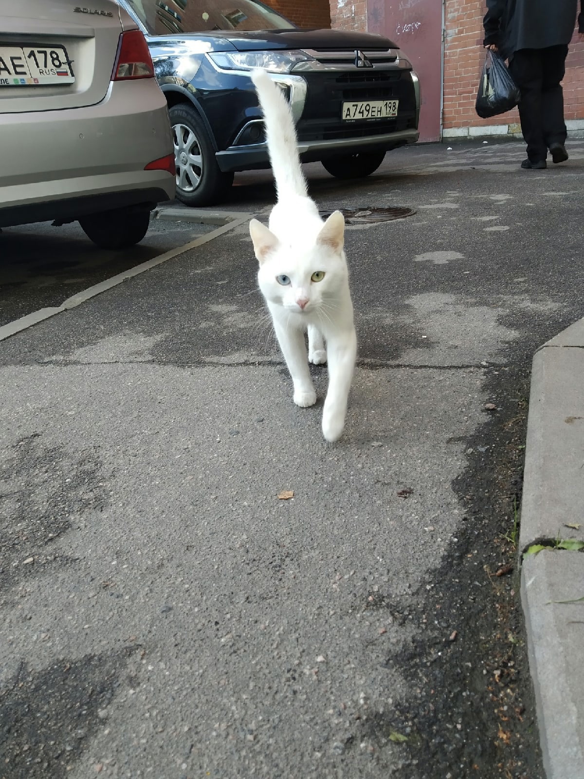 Пошли домой, я нагулялась