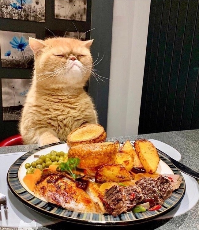 Это я и мой завтрак