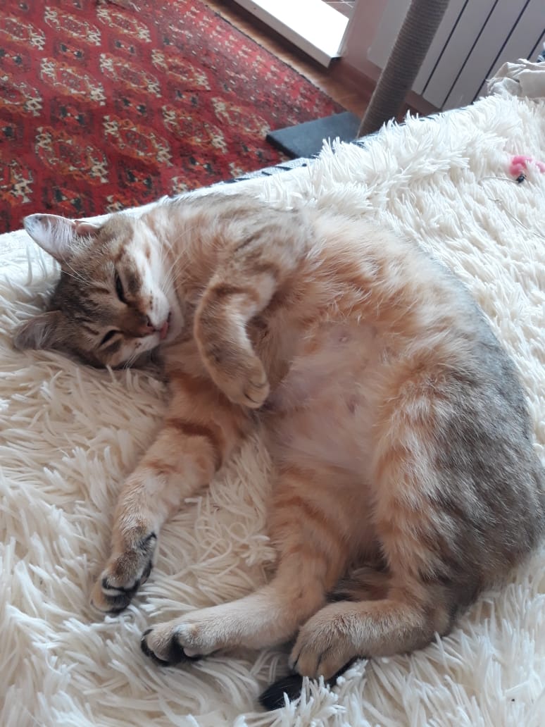 Не тревожьте меня, я не выспалась