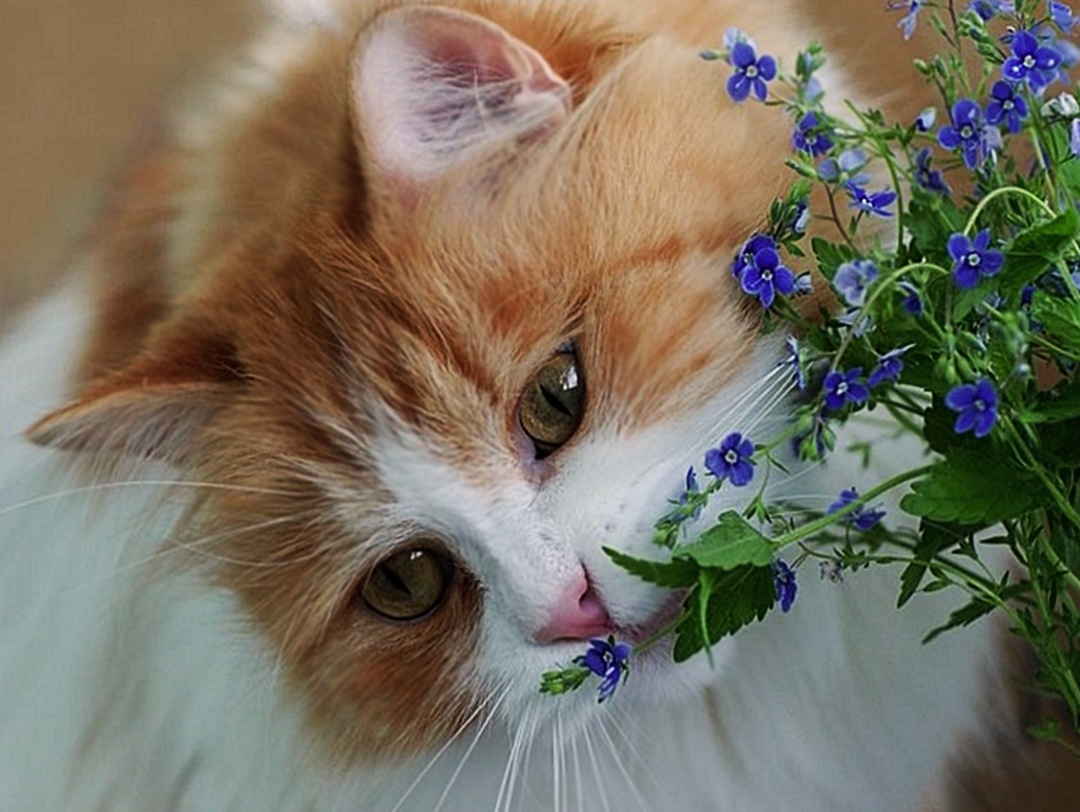 Приятное начало дня