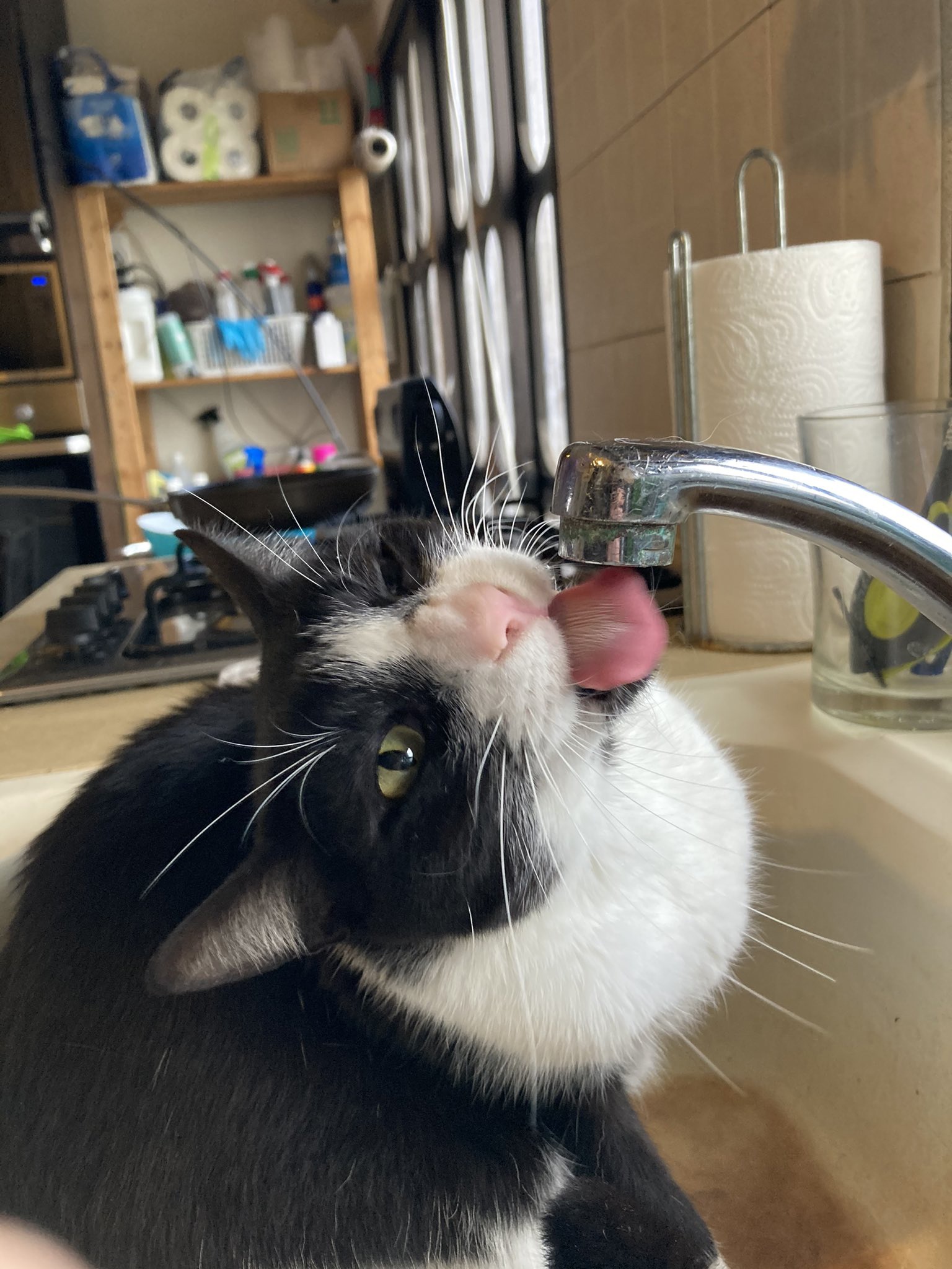 Добрый кран, водочки дай