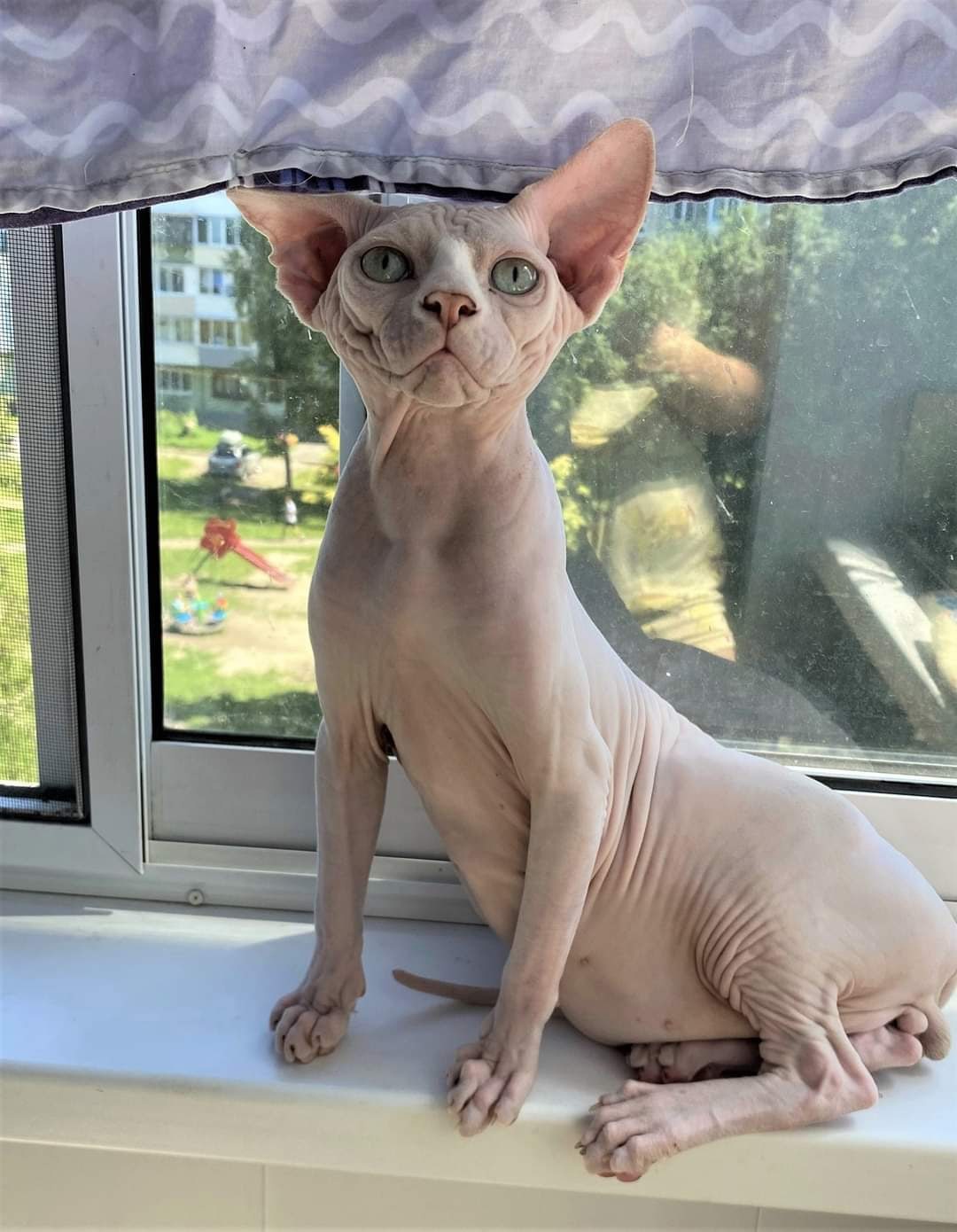 Дома так скучно, может сходим прогуляться