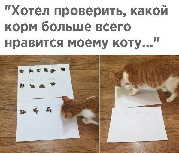 Эксперимент не удался