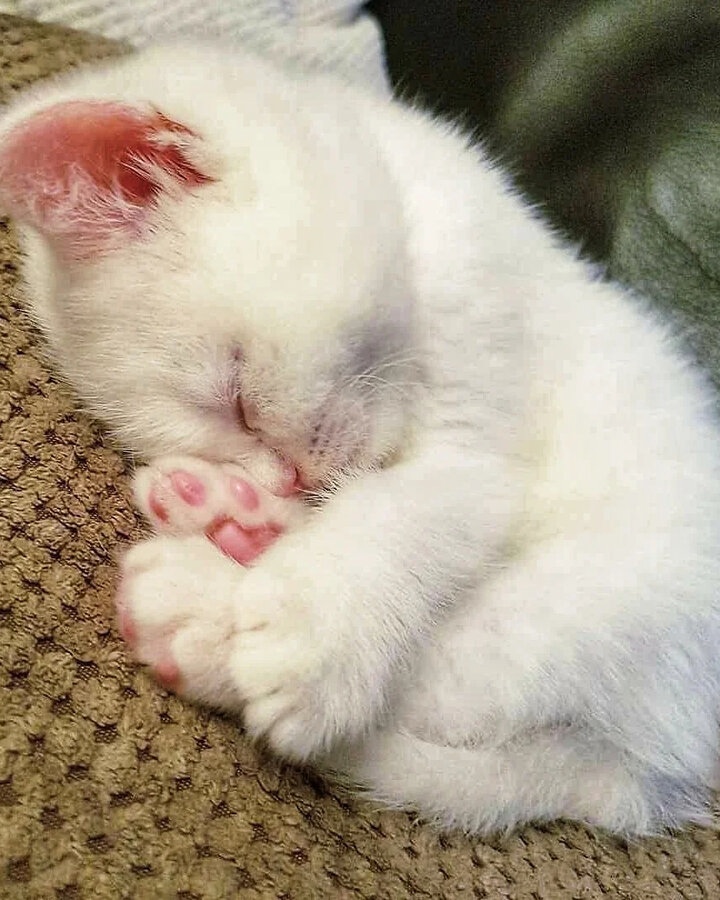 Тише, ребёнок спит