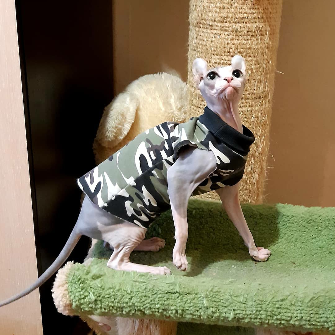 Спортивный парень