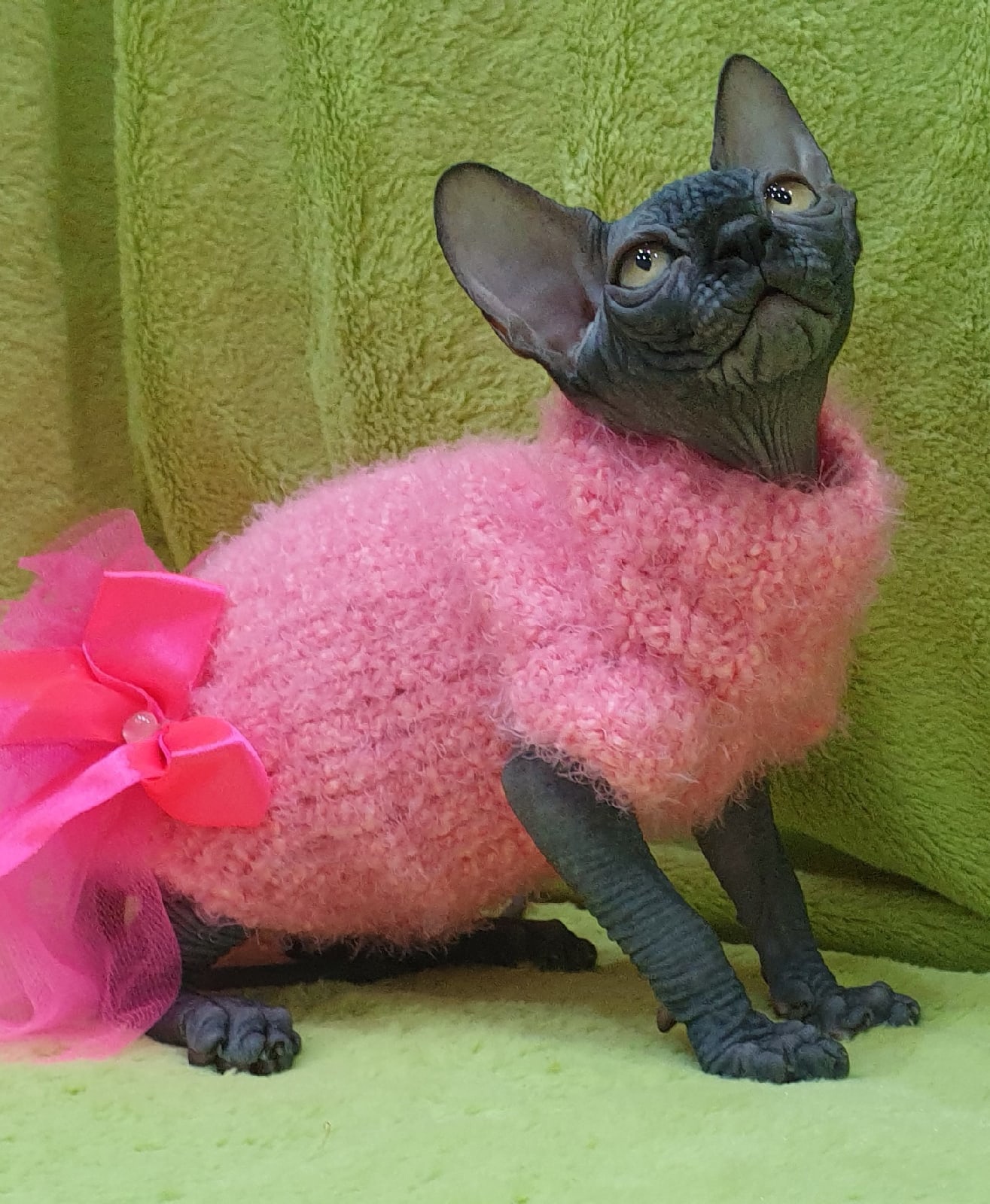 А меня, это платьишко не полнит