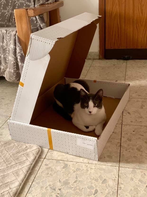 Я тут жить буду