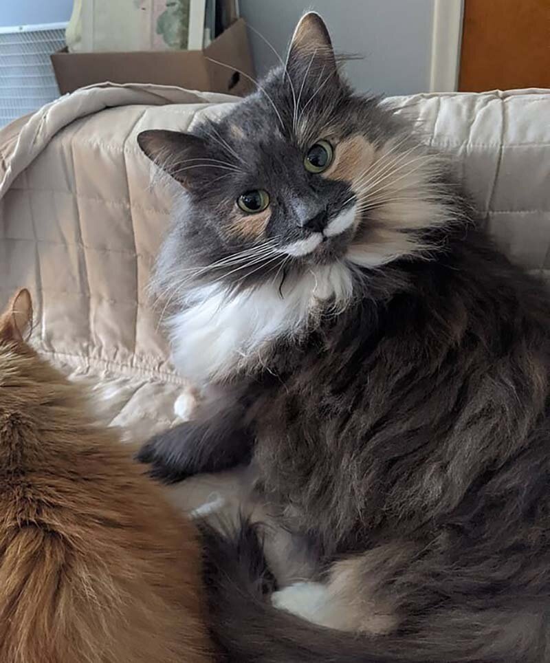 Вы что - то хотели, а то мы баиньки собираемся