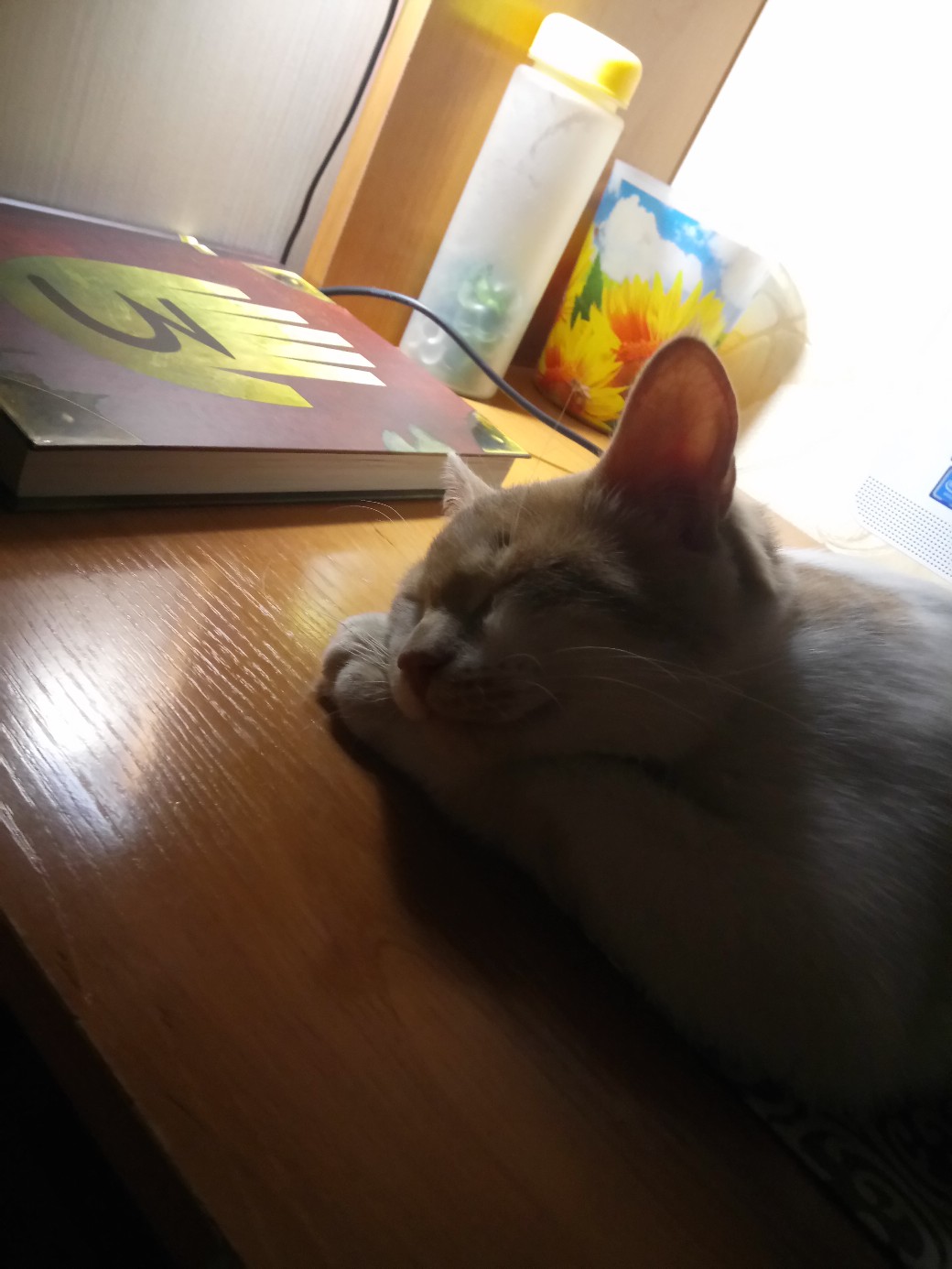 Всё, уроки сделал, можно и поспать