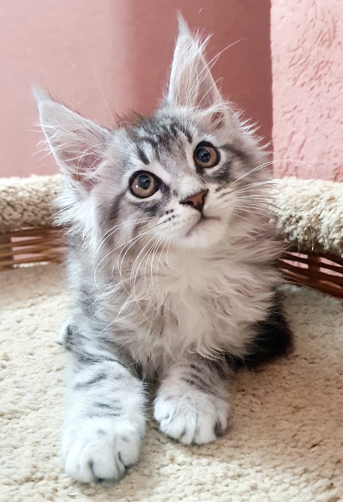 Для обвинений нужны доказательства, а я всё спрятал