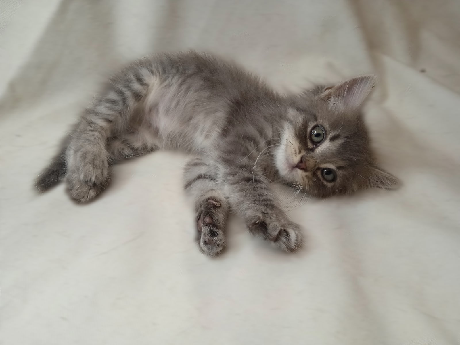 Кажется, я выспался