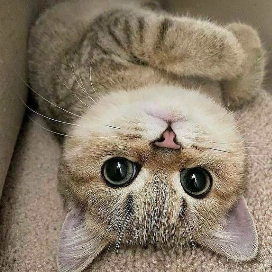 И снова, здравствуйте