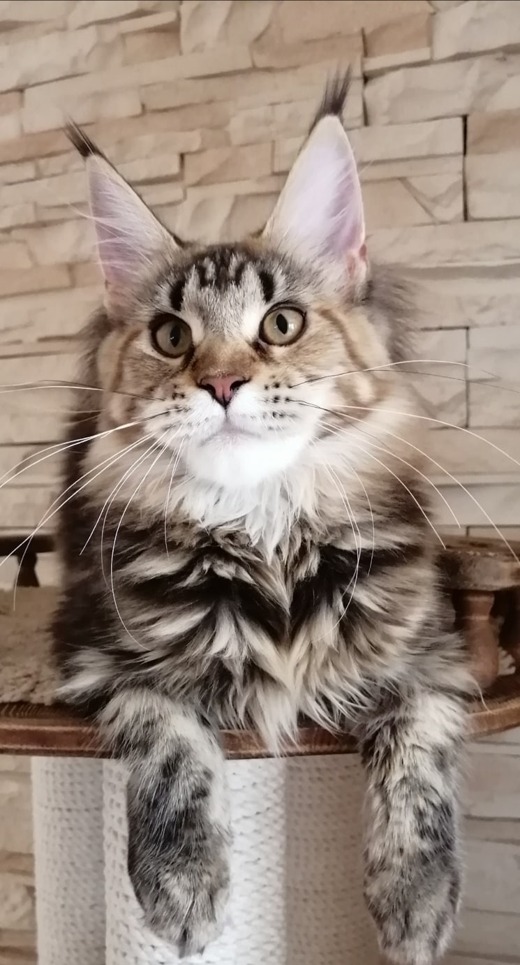 Я могу часами так лежать