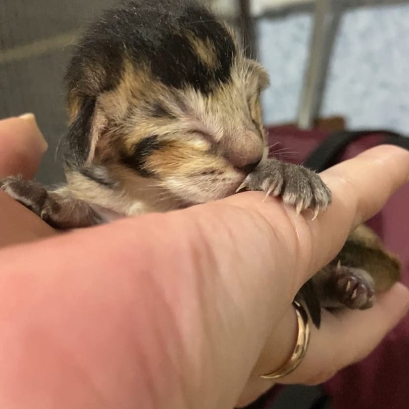 Малыш - в надёжных руках