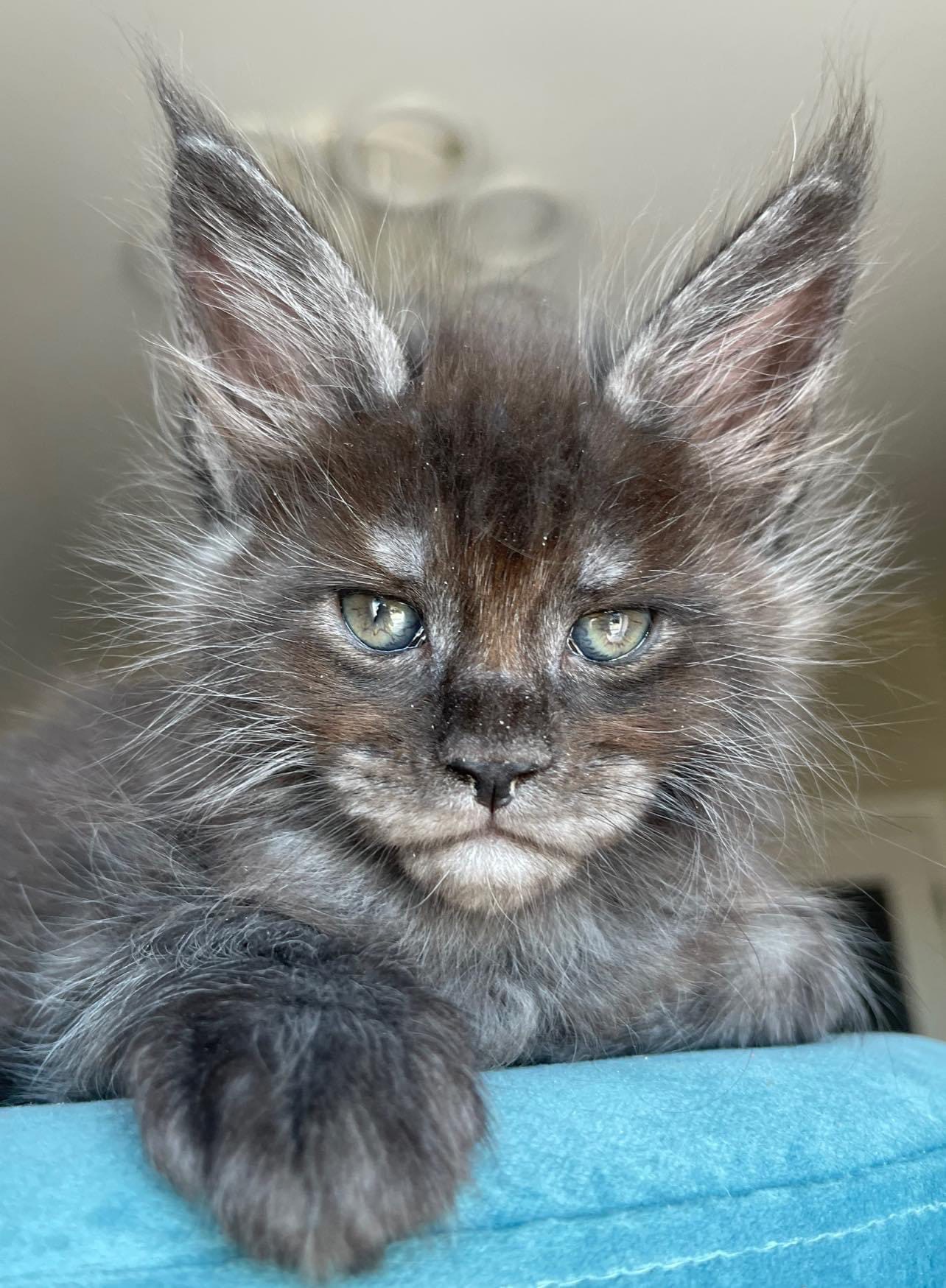 Я ужасно, серьёзный парень