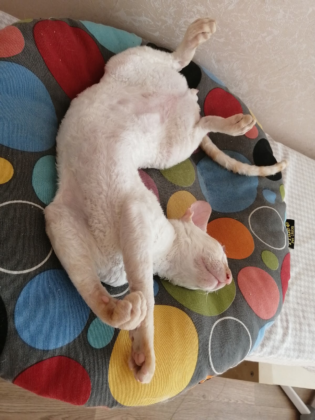 Не жизнь, а сказка