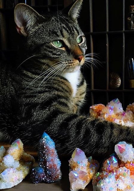 Вот, сколько у меня сокровищ