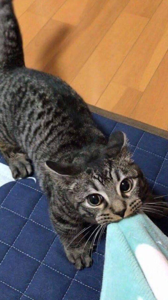 Хватит спать, кушать пора