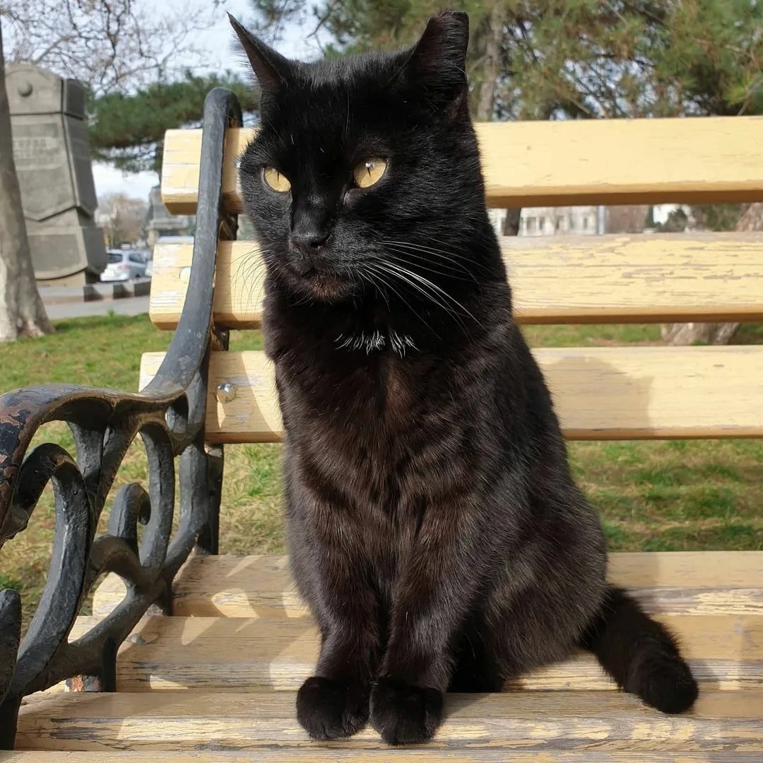 Посижу, я на скамейке, с мыслями соберусь