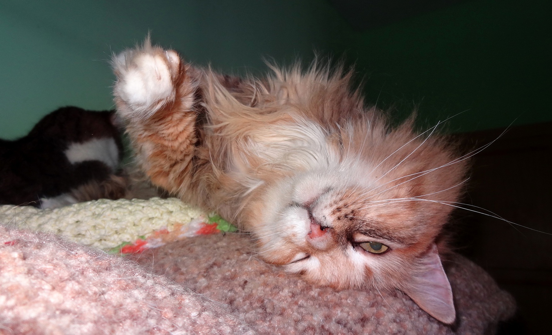 Того кто будет нам мешать спать, покусаю, наверно