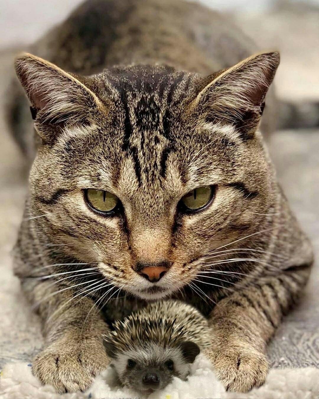 Я своего дружочка берегу, как зеницу ока