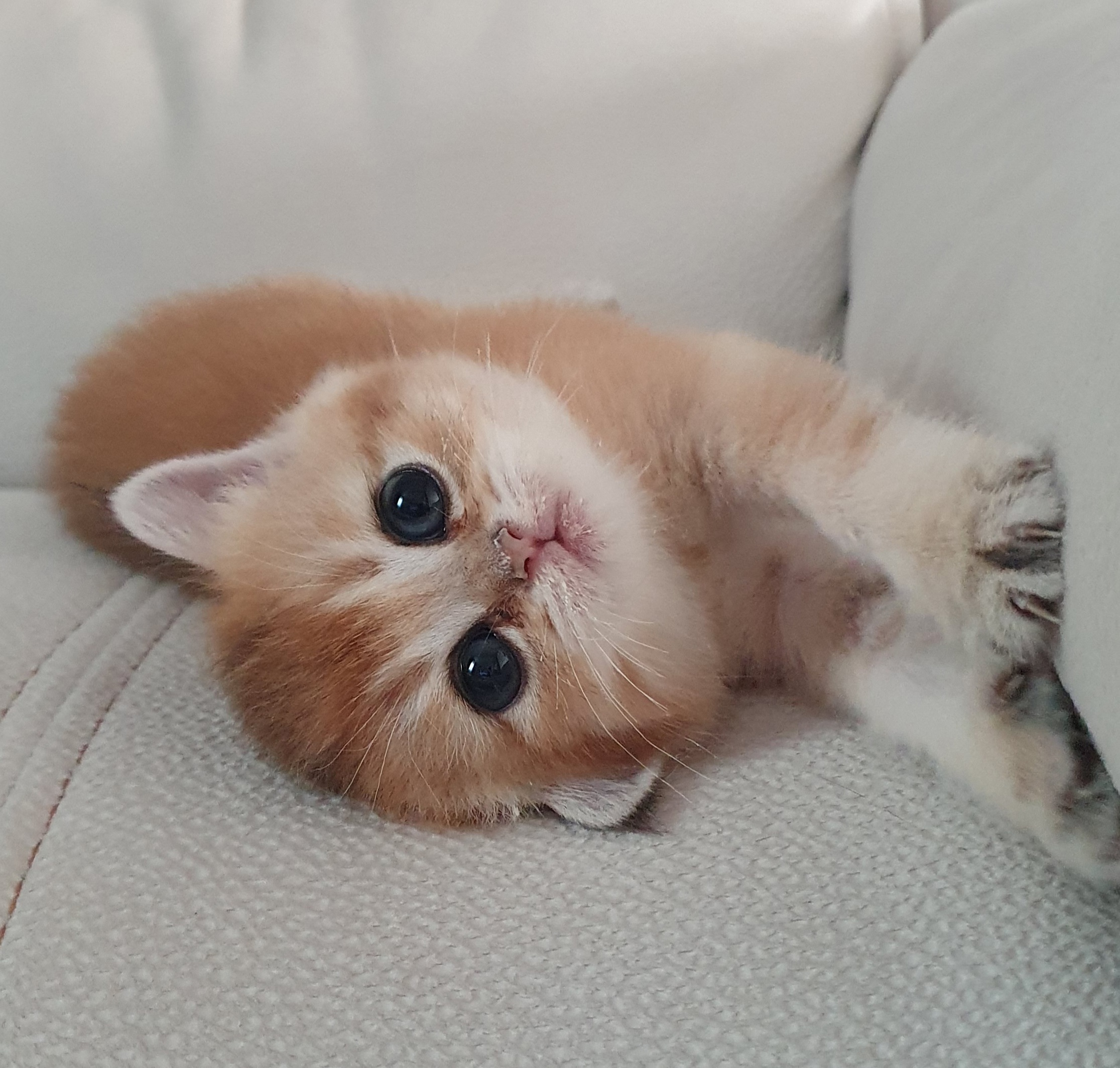 Я мальчишка, хоть куда, балуюсь уже с утра