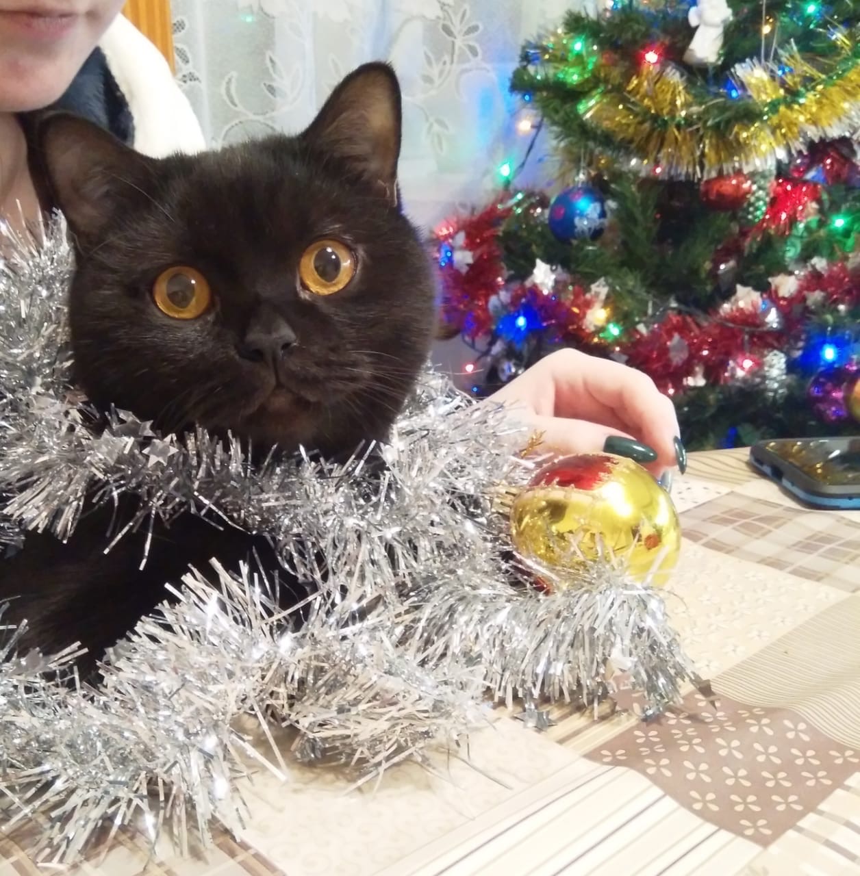 Мы тут ёлку разбираем, так грустно